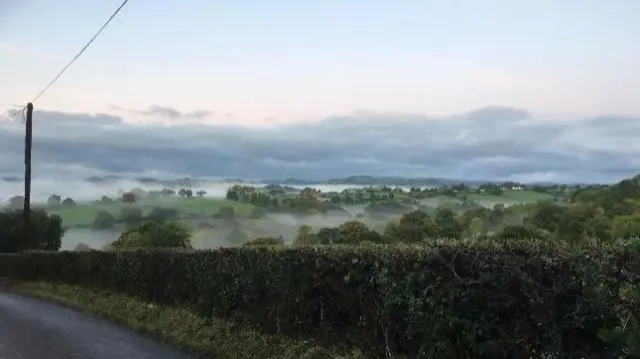 Mist over field