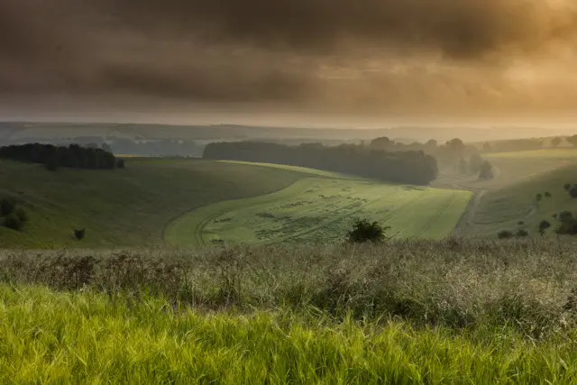 Wolds