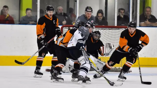 Tigers vs Steeldogs