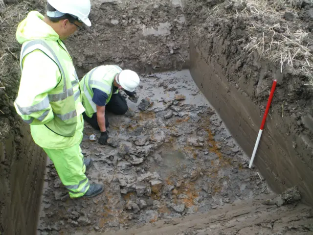 Archaeologists at a dig