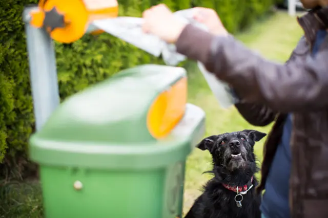 Dog fouling in Mansfield