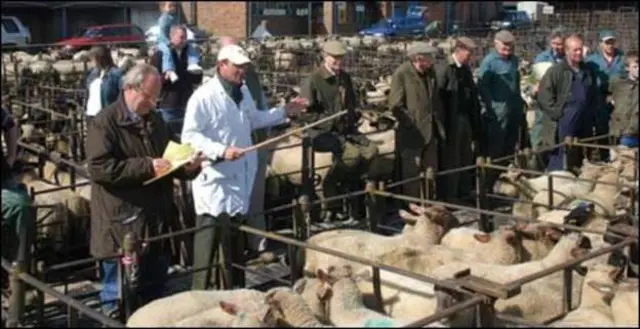 Louth Livestock Market