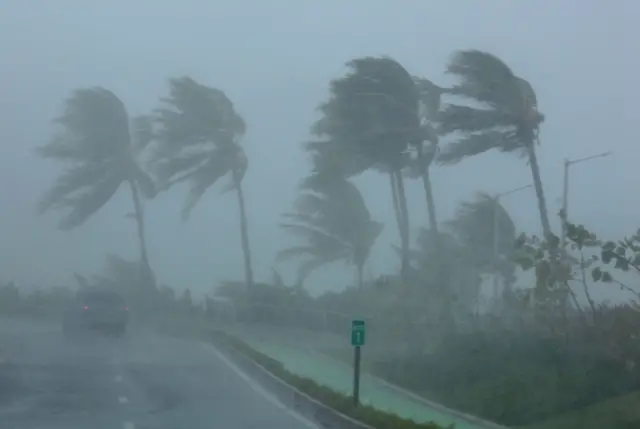 Palm trees bend in strong winds in San Juan, Puerto Rico