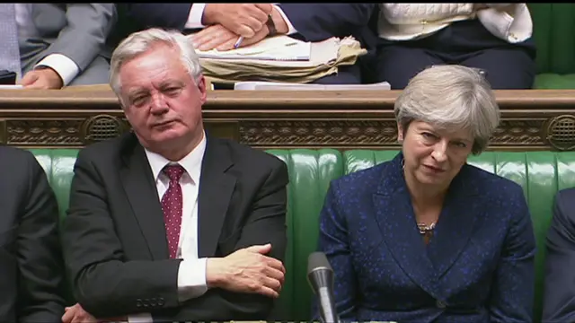 David Davis and Theresa May