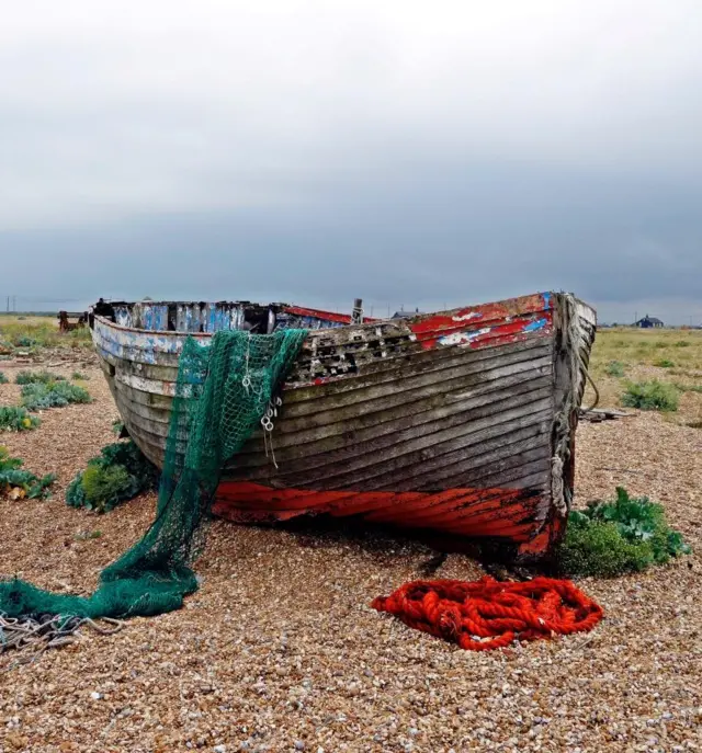 Dungeness