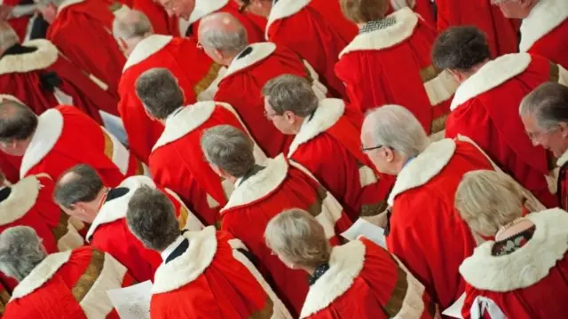 House of Lords members