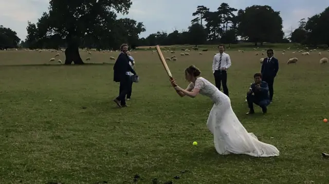 Wedding cricket