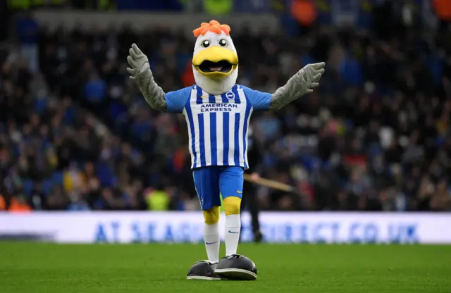 Gully the seagull