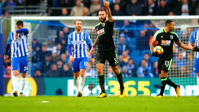 Steve Cook celebrates