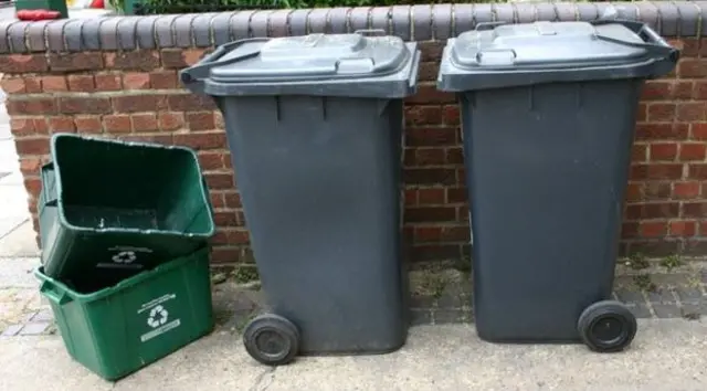 Wheelie bins