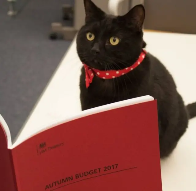 Perhaps Gladstone, the Treasury cat can make sense of it all?