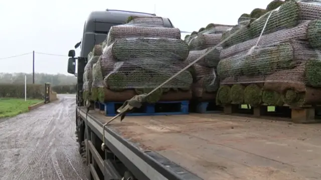 Turf on the back of a pallet