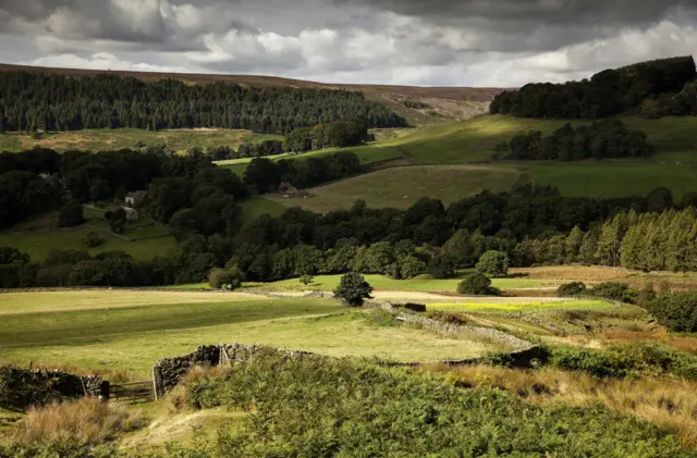 North York Moors