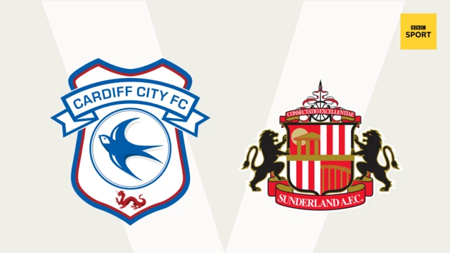 Cardiff v Sunderland graphic