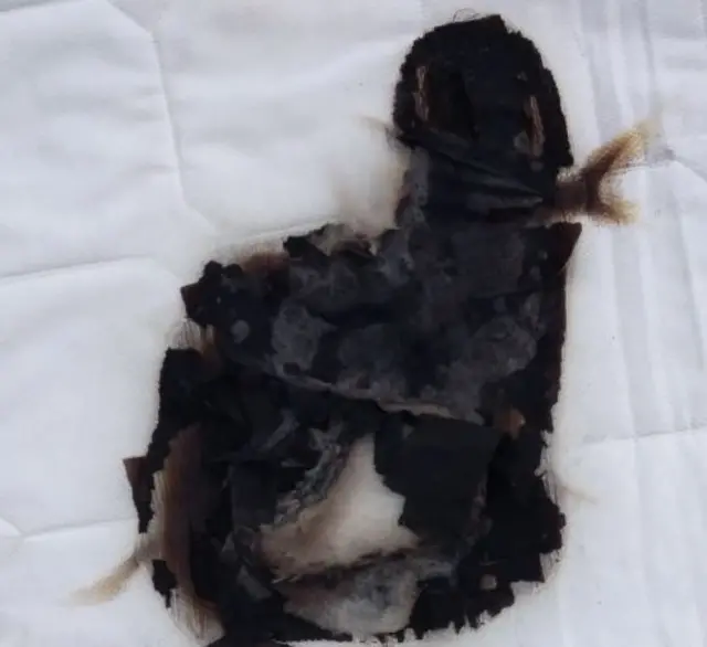 Burnt mattress