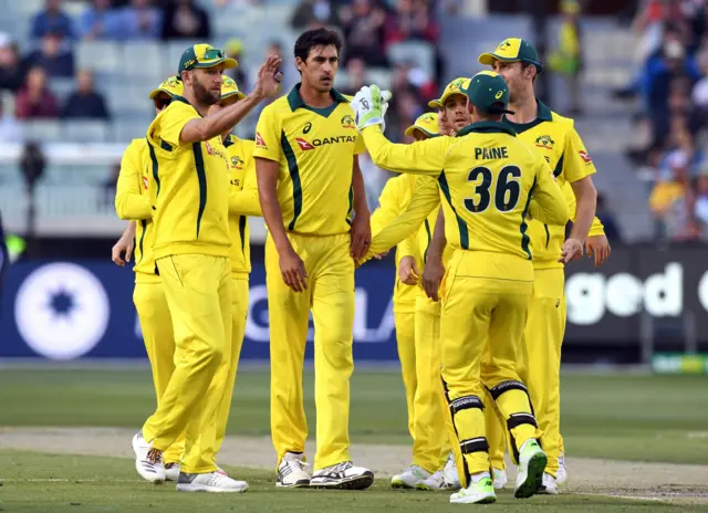 Mitchell Starc celebrates a wicket