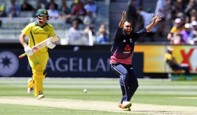 Aaron Finch and Adil Rashid