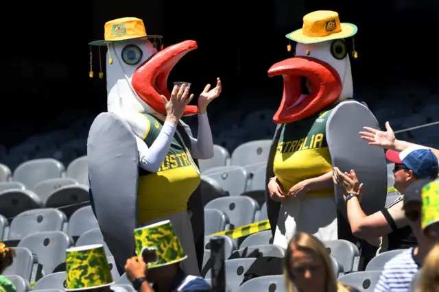 Fans dressed as pigeons