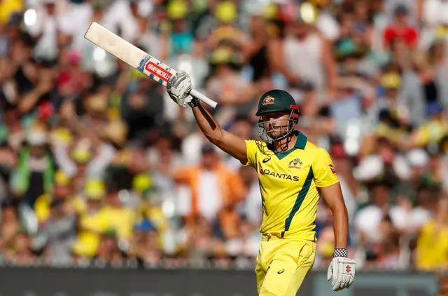 Marcus Stoinis celebrates his fifty