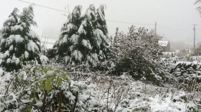 Snow in Hollinsclough last year