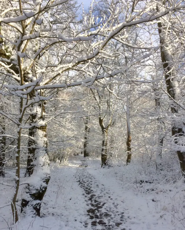 Snowy path near Balerno.