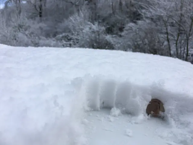 Snow on a car