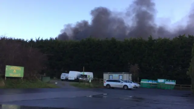 Smoke cloud over trees