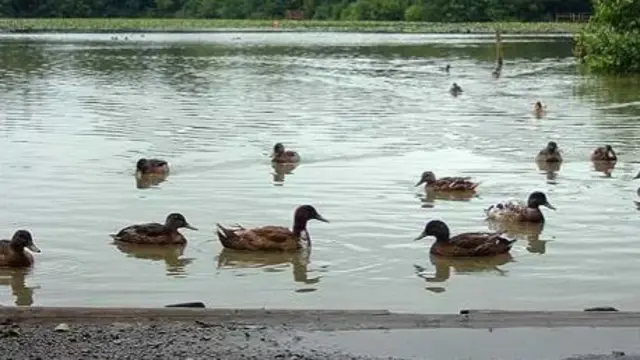 Stover Country Park