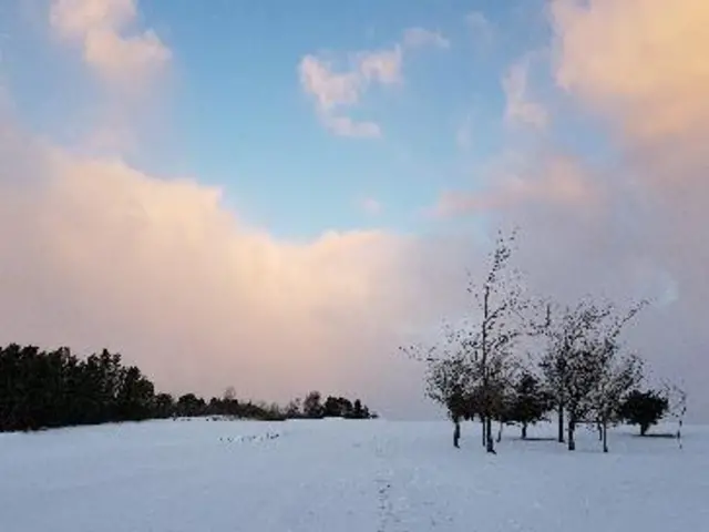 Snowy field in Kendal