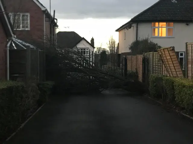 Fence down in West Hagley