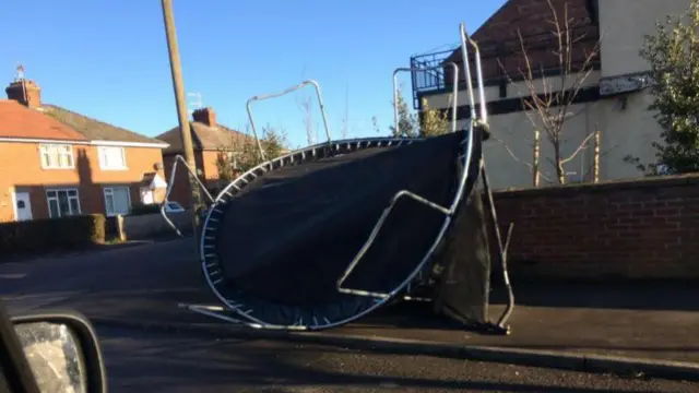 trampoline