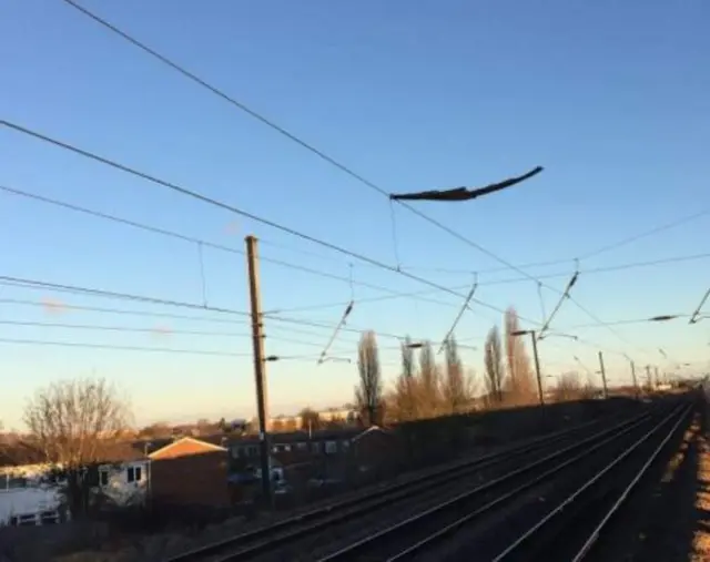 Plastic bag stuck in power line