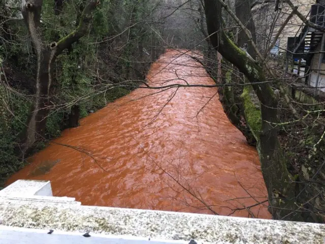 River holme