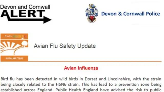 Avian flu advice