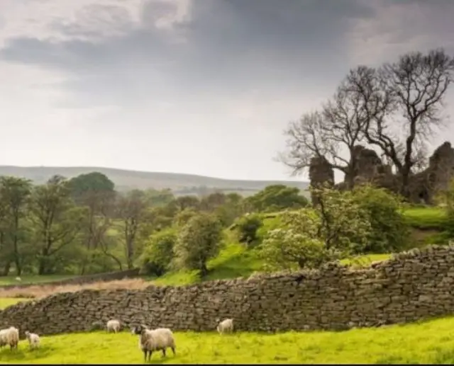 Yorkshire Dales