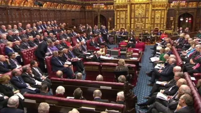 The EU Withdrawal Bill will now be considered in the House of Lords