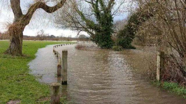 Flooded field