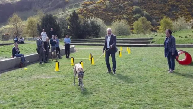 Mark Ruskell with his greyhound Bert