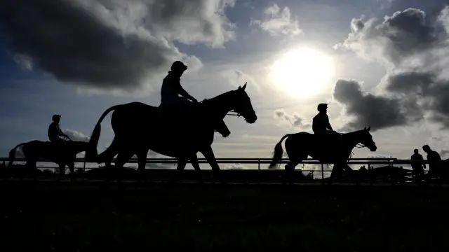 Silhouettes of horses