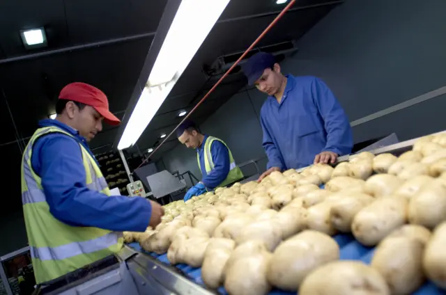 Workers on a production line similar to those used by the affected staff