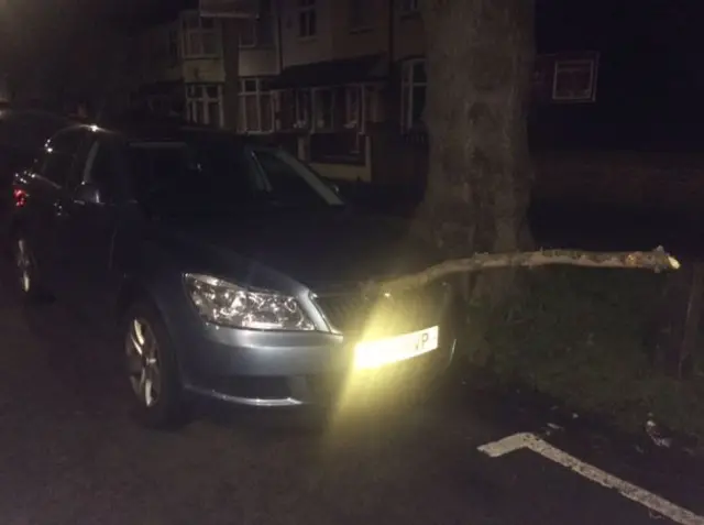 Car and tree