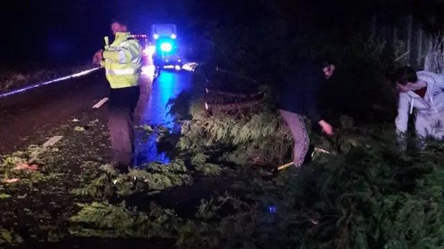 Tree being cleared on A46 in Worcestershire