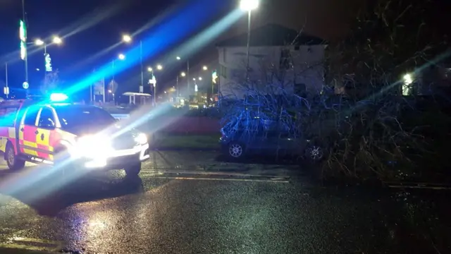 Tree down in Birmingham