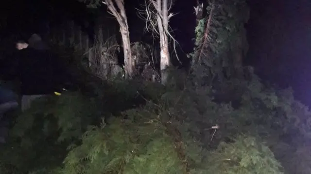 Tree down on A46