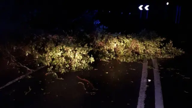 Tree down in Worcestershire