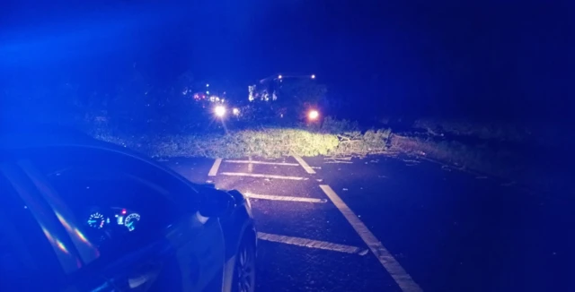 Tree fallen onto road in Offham