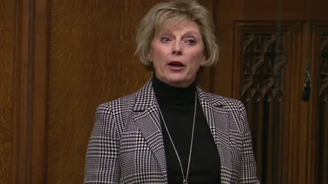 Anna Soubry