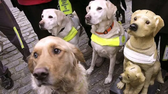 Guide dogs