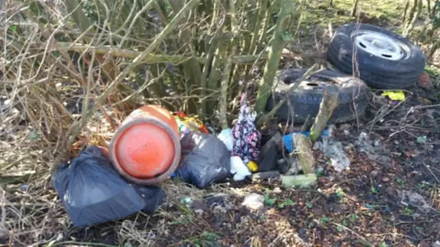 Rubbish on some land and shrubs