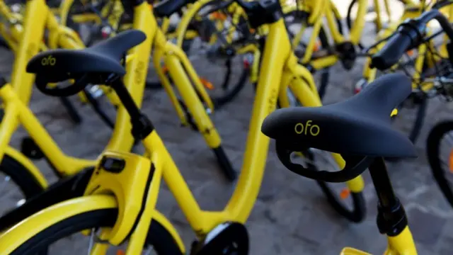 Ofo